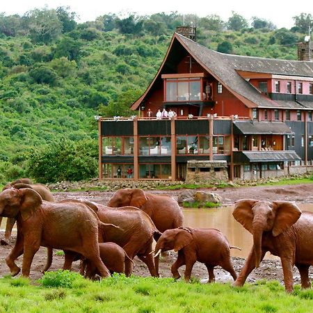 The Ark Lodge Nyeri Zewnętrze zdjęcie