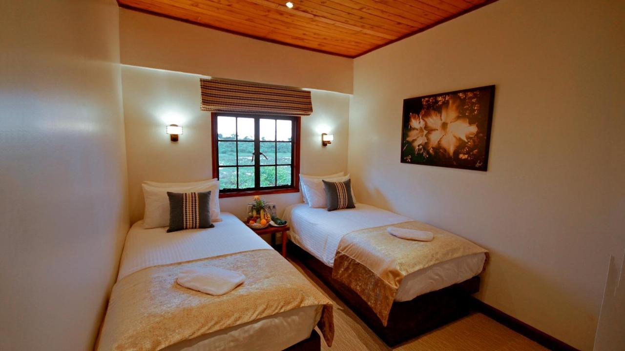 The Ark Lodge Nyeri Zewnętrze zdjęcie