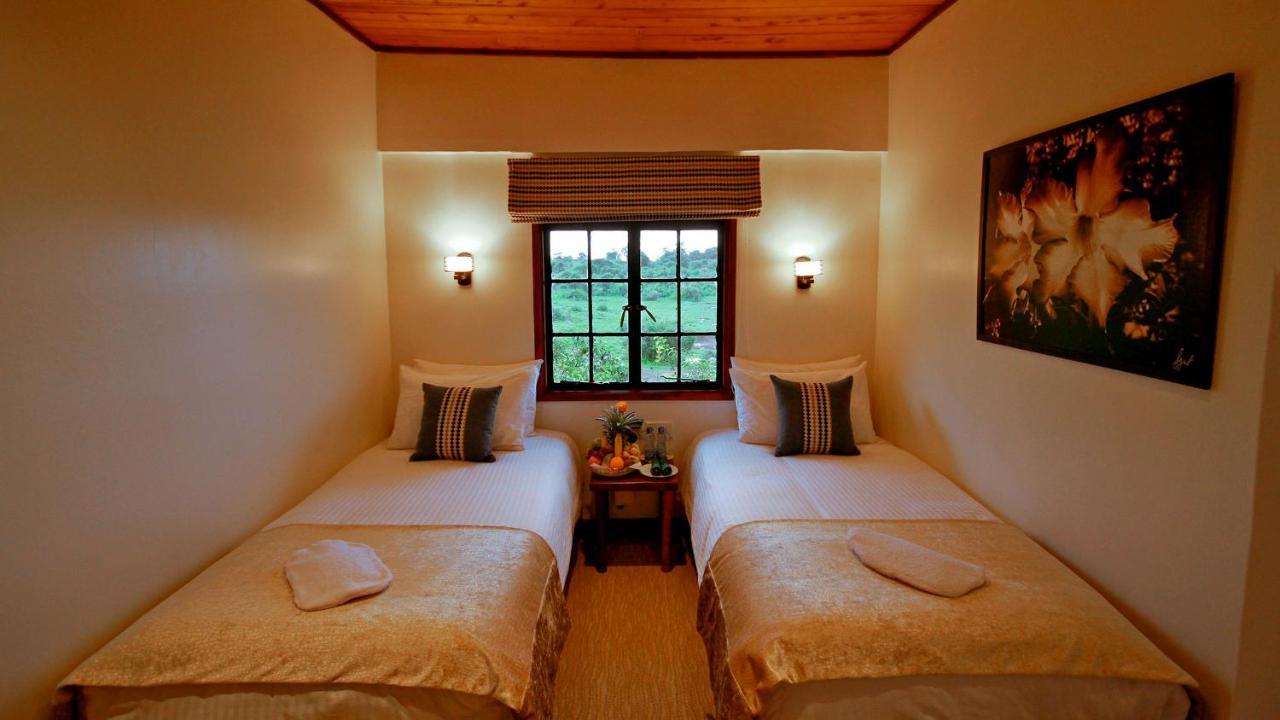 The Ark Lodge Nyeri Zewnętrze zdjęcie