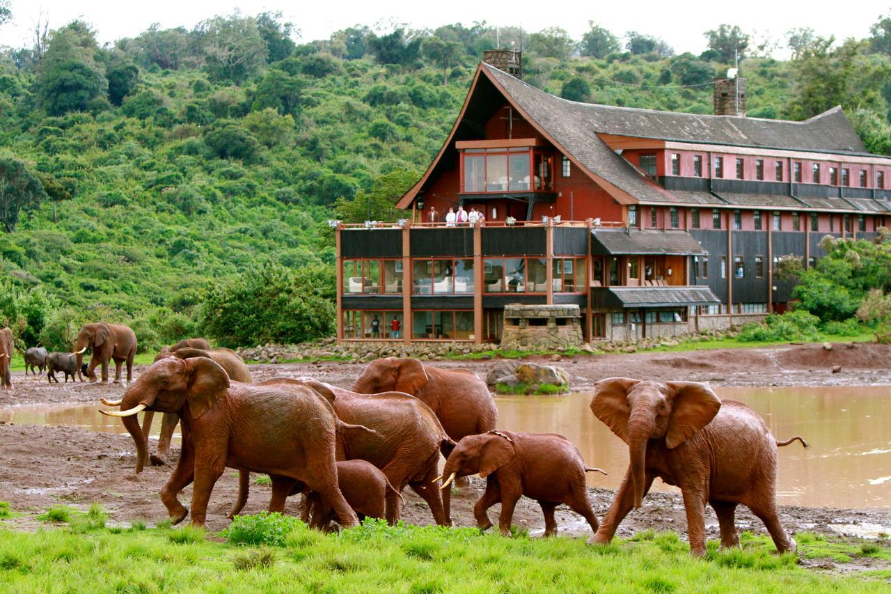 The Ark Lodge Nyeri Zewnętrze zdjęcie