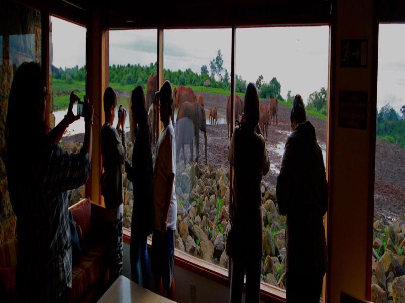 The Ark Lodge Nyeri Zewnętrze zdjęcie